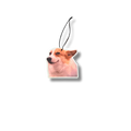 Corgi Illatosító